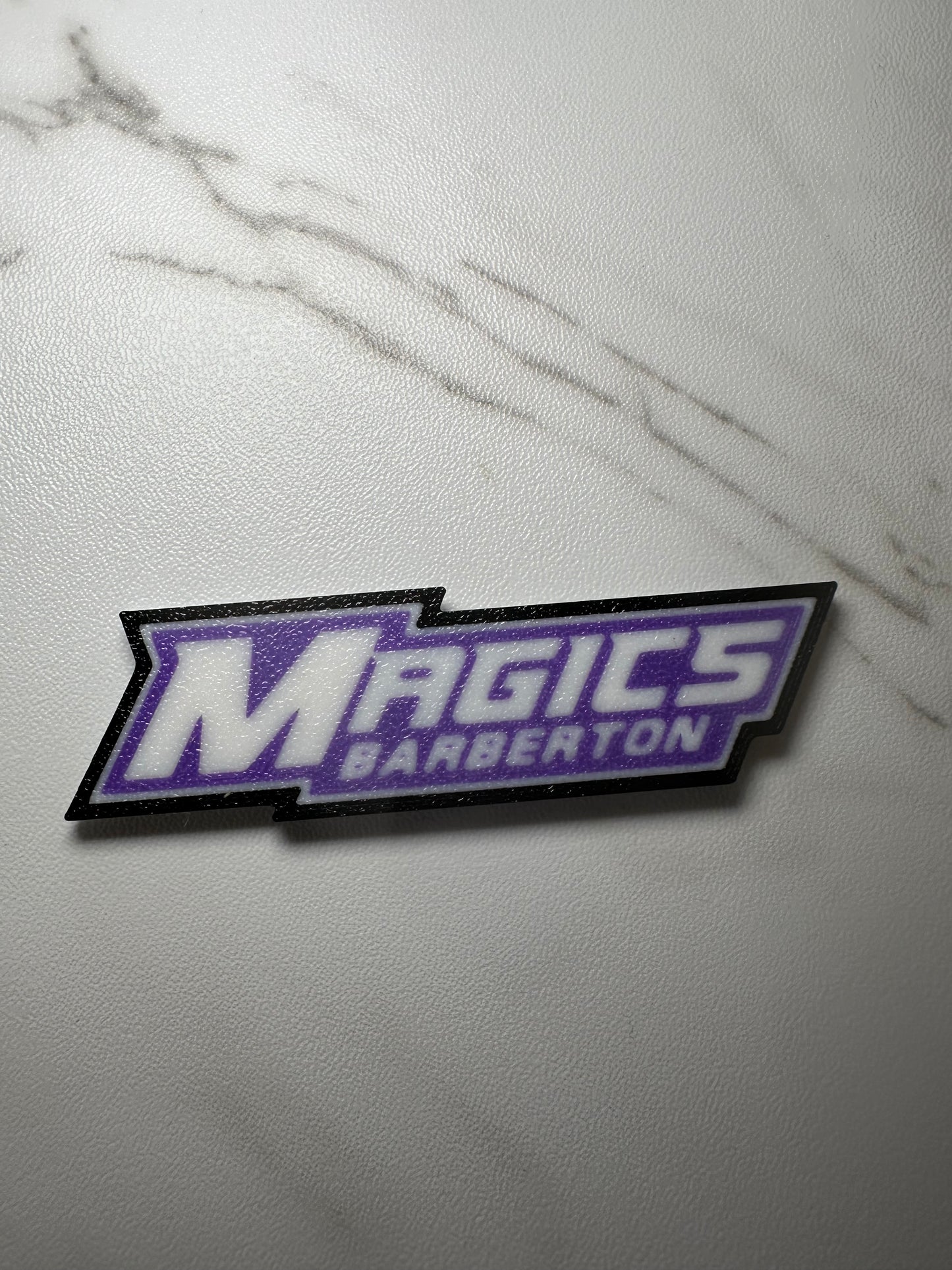 Barberton Magics Magnet